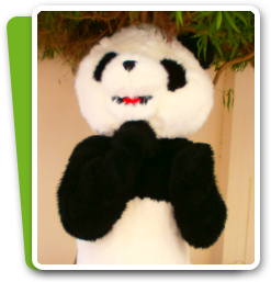 Little pandas pre school in Dubai fee schedule