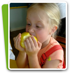 Little Pandas Nursery offers healthy snacks, best nutrition food for kids in school